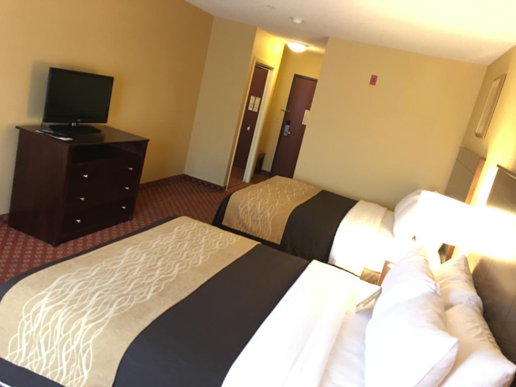 Comfort Inn Naugatuck-Shelton, Ct Eksteriør billede