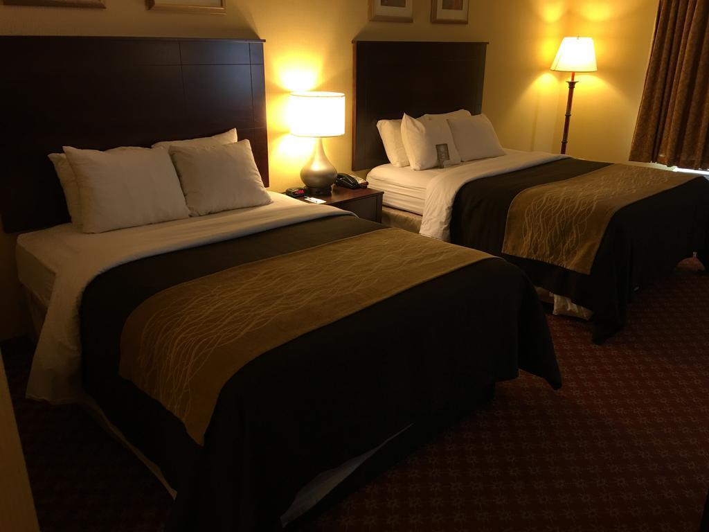 Comfort Inn Naugatuck-Shelton, Ct Eksteriør billede