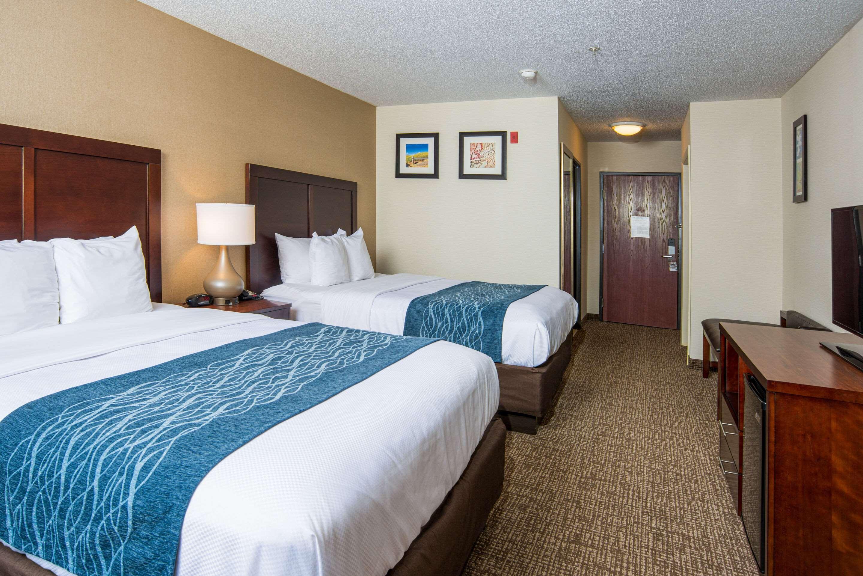 Comfort Inn Naugatuck-Shelton, Ct Eksteriør billede