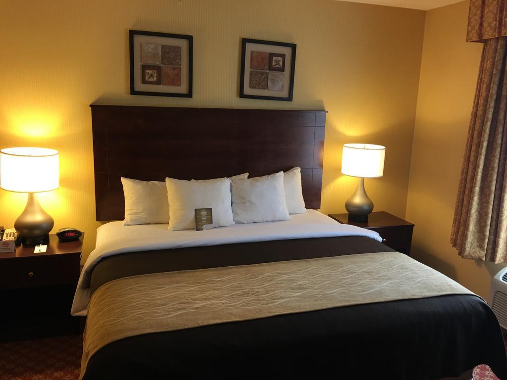 Comfort Inn Naugatuck-Shelton, Ct Eksteriør billede